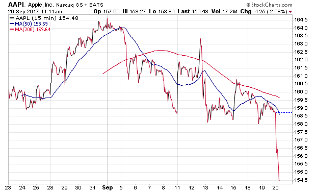 Der USA Bären-Thread 1013457