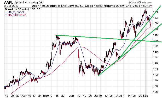 Der USA Bären-Thread 1011422