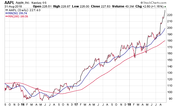 Der USA Bären-Thread 1072185