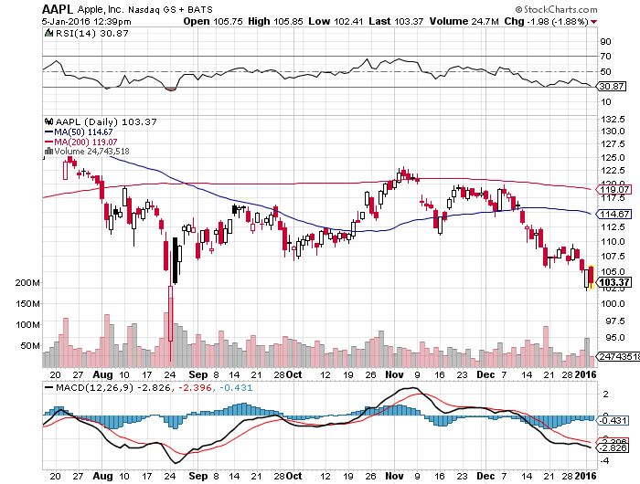 Der USA Bären-Thread 882528