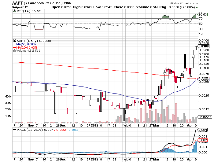 All American Pet Co Inc 500% ? 499447