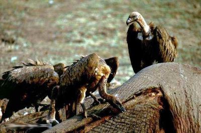 was ist denn hier los? 568412