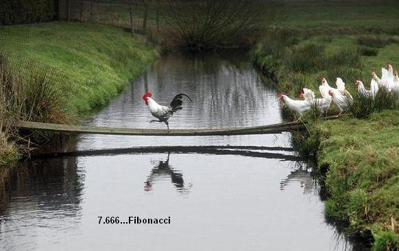 666.DAX Tipp-Spiel, Dienstag, 20.11.07 132008