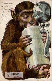 ARISE die canadische Solarperle ! 181818