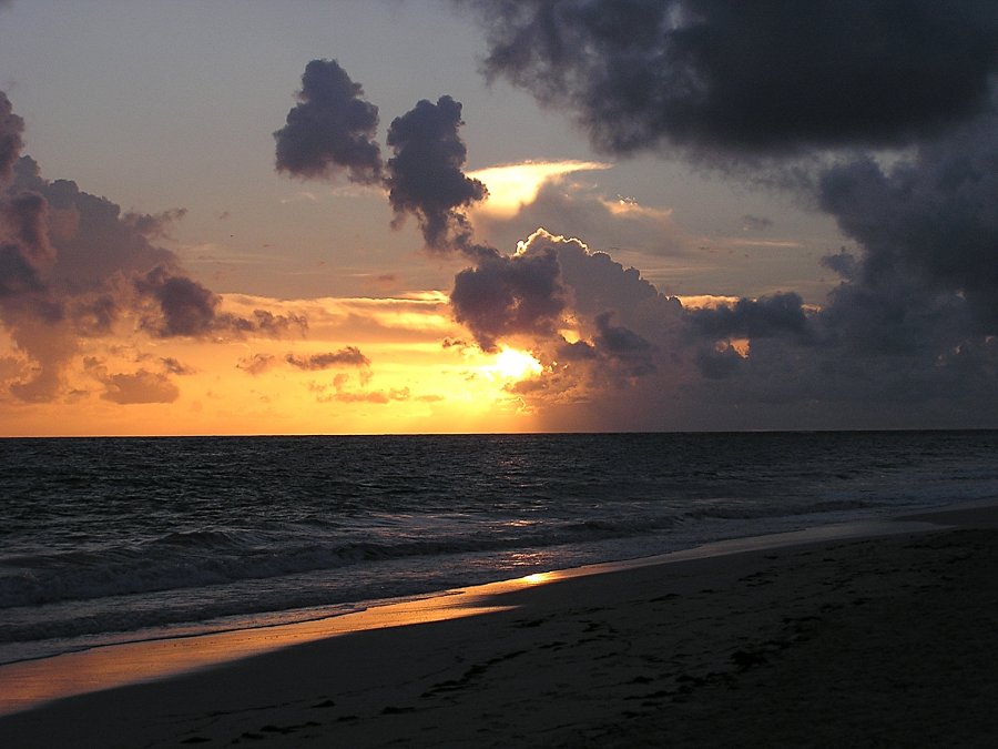 Die Vergessene Bank 607077