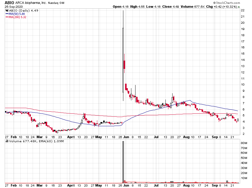 Der USA Bären-Thread 1203428