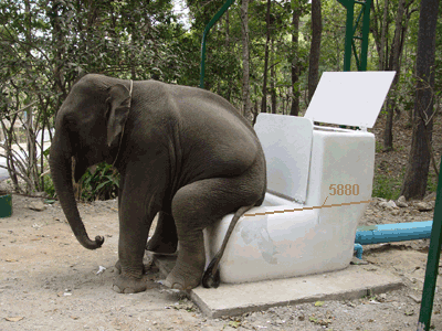 Quo Vadis Dax 2010 - Das Original 292791