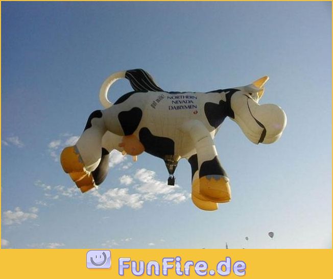 QV ultimate 2012 516654