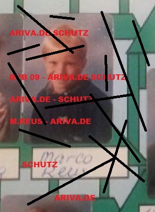 14 Gründe für ein Investment in BVB. 676237