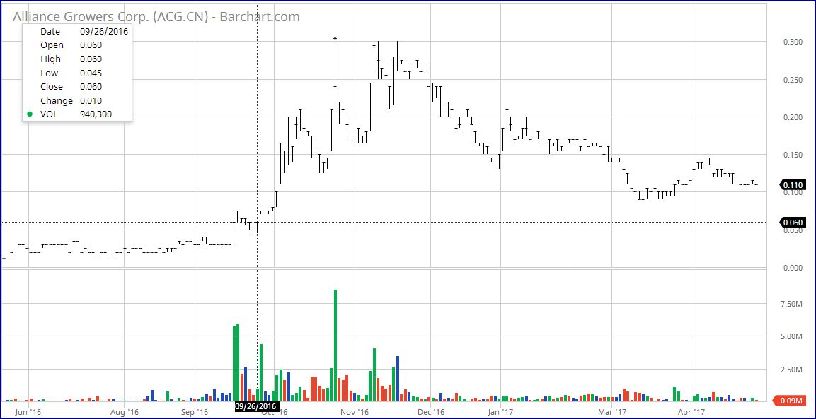 Cannabis B2B Portal mögliche 1000% 986576