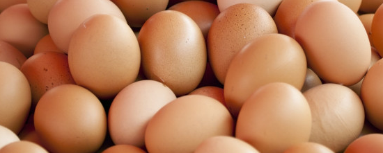 Deutsche Nebenwerte - wir brauchen Eier 844108