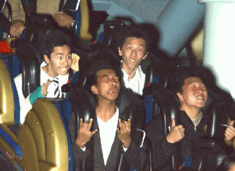 Die Bullen scharren gar nicht mit den Hufen, 191217