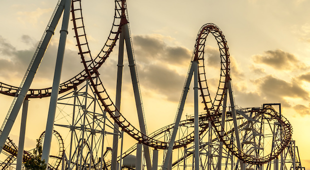 Der USA Bären-Thread 1038659