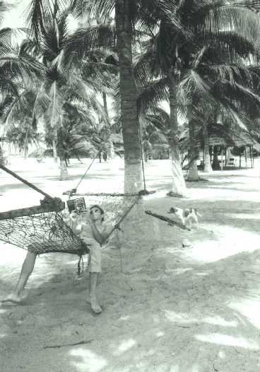 Gigaset ab 2011 - Informativ und immer am Ball .. 391175