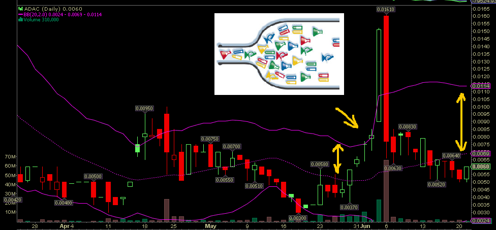 Wesleys Flugschule - US Auslese 414435