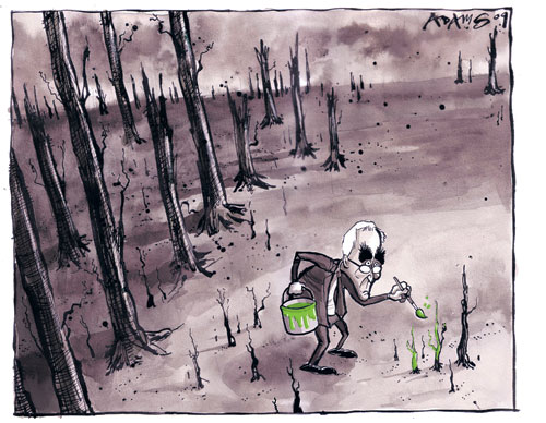 Nach der Kaufpanik ist vor der Kaufpanik 242870