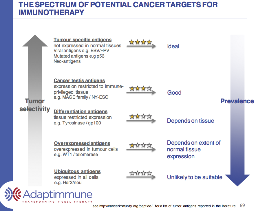 Medigene - Sachliche und fachliche Beiträge 952720