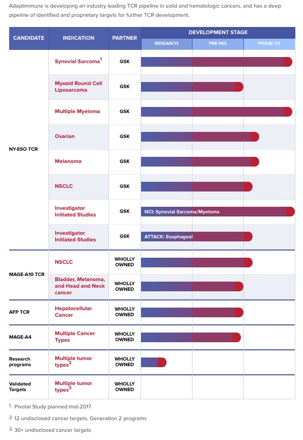 Medigene - Sachliche und fachliche Beiträge 944062