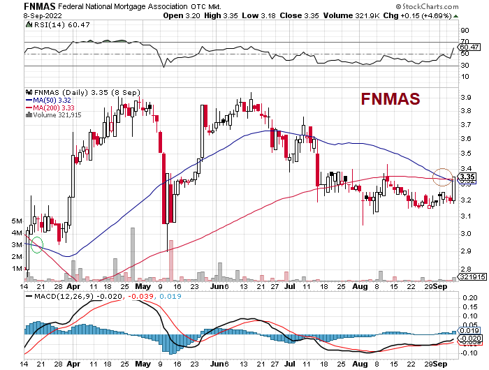 Fannie Mae - Chance auf Verdreifachung bis Juli 1332221
