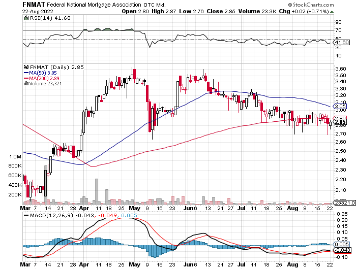 Fannie Mae - Chance auf Verdreifachung bis Juli 1329482