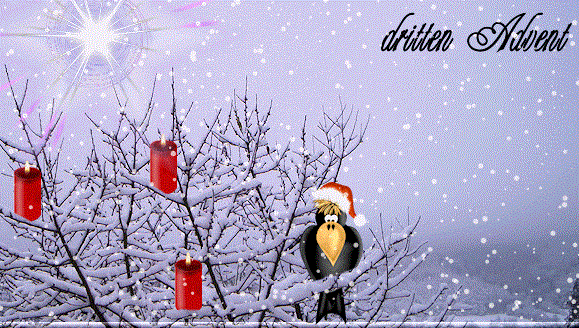 Quo Vadis Dax 2011 - All Time High? 466407