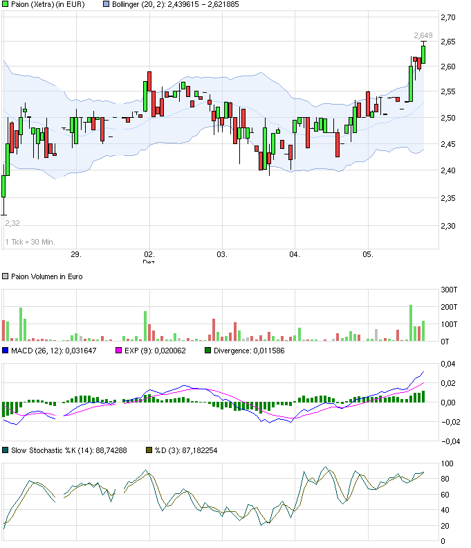 PAION Eine Fledermaus lernt wieder fliegen 671255