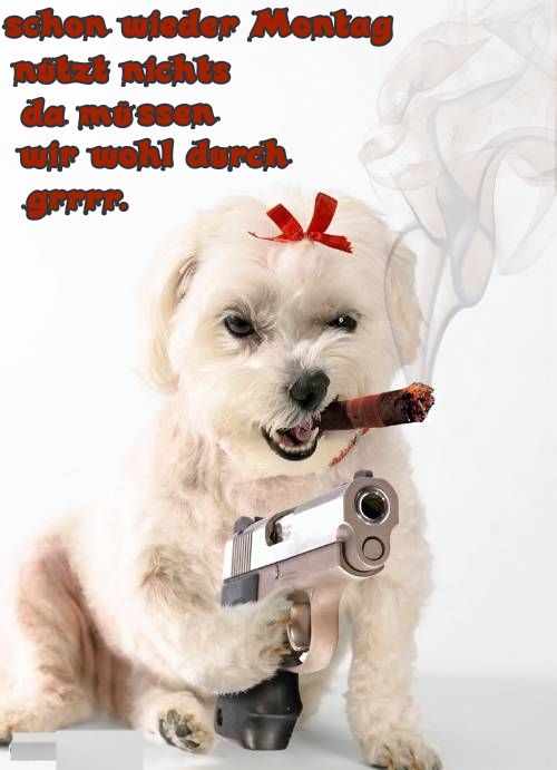 Kursziel 1 USD bis 31.12.2010 337819