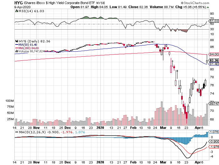 Der USA Bären-Thread 1171861