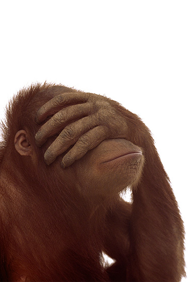 QuoVadisDax - das Original - Nachfolgethread 884998