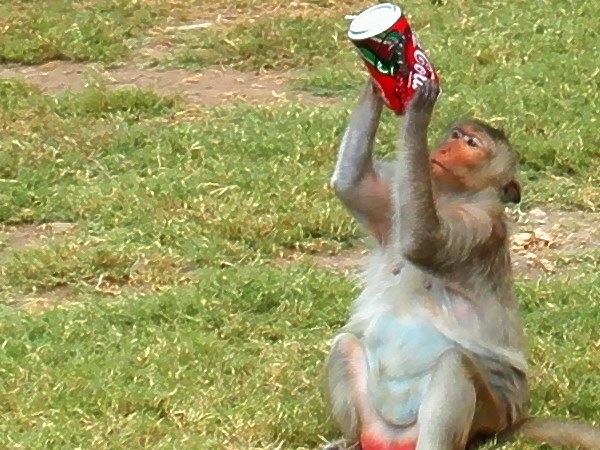 646.DAX Tipp-Spiel, Dienstag, 23.10.07 127119