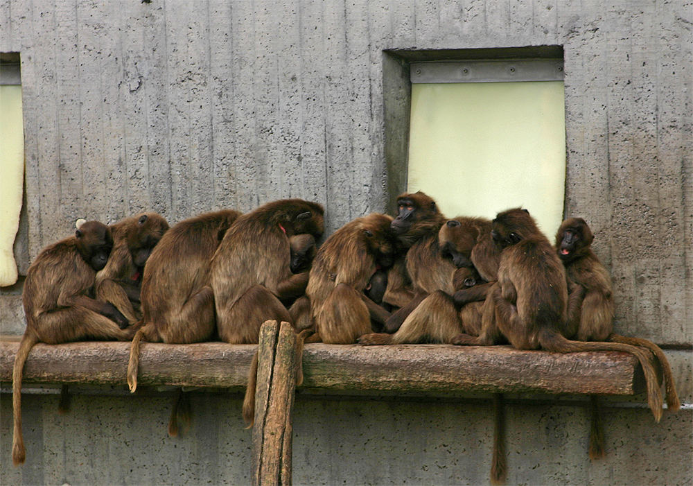 643.DAX Tipp-Spiel, Donnerstag, 18.10.07 126212