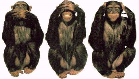 897.DAX Tipp-Spiel *Montag* 20.10.08, 17.45 Uhr 193784