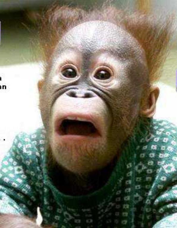 Leute schnell noch positionieren! 144870