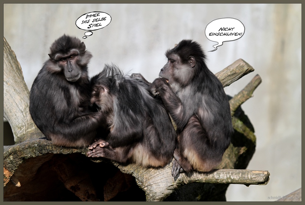 Was meint Ihr, lohnt sich der einstig hier? 446944