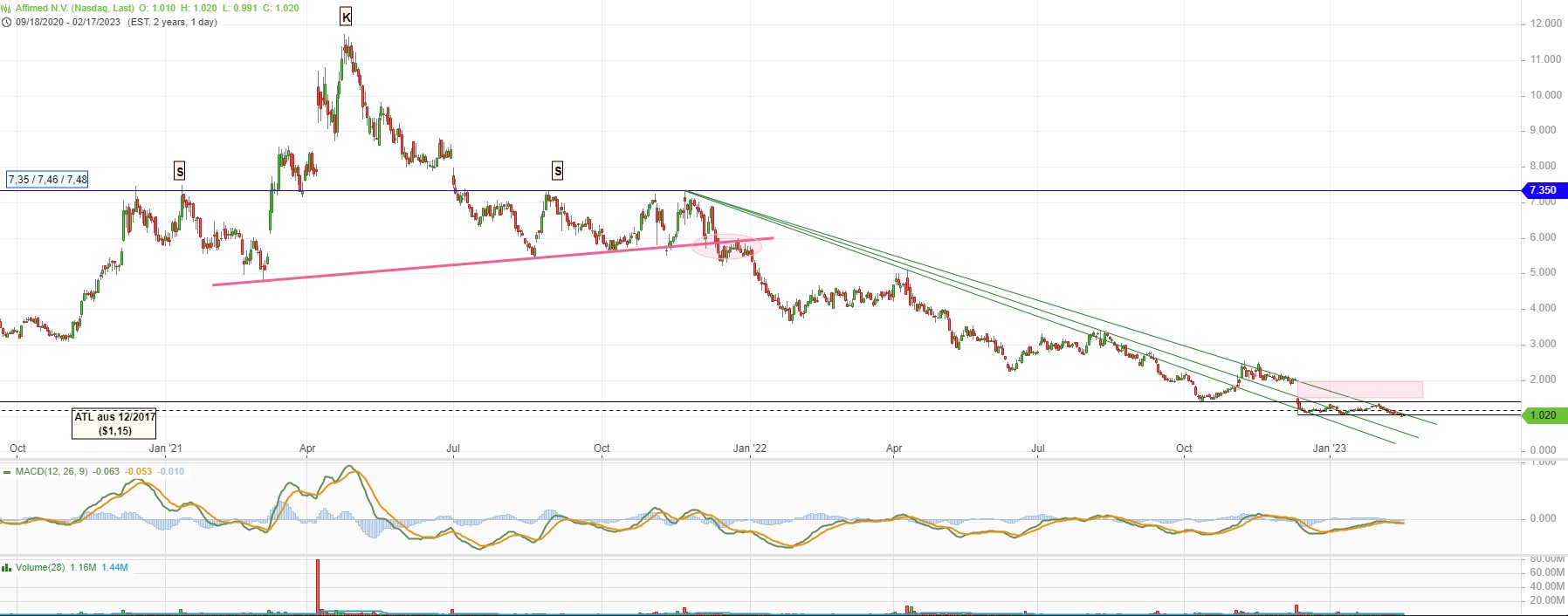 Affimed Therapeutics B.V. - AFMD 1358101