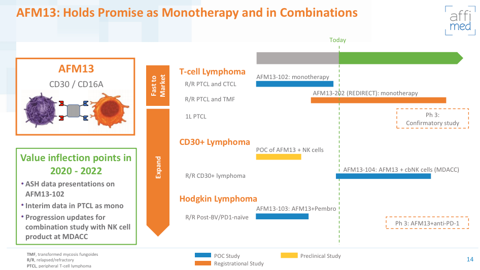 Affimed Therapeutics B.V. - AFMD 1214655