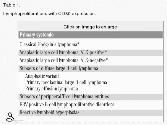 Affimed Therapeutics B.V. - AFMD 1284388