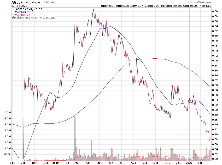 Der USA Bären-Thread 1163201