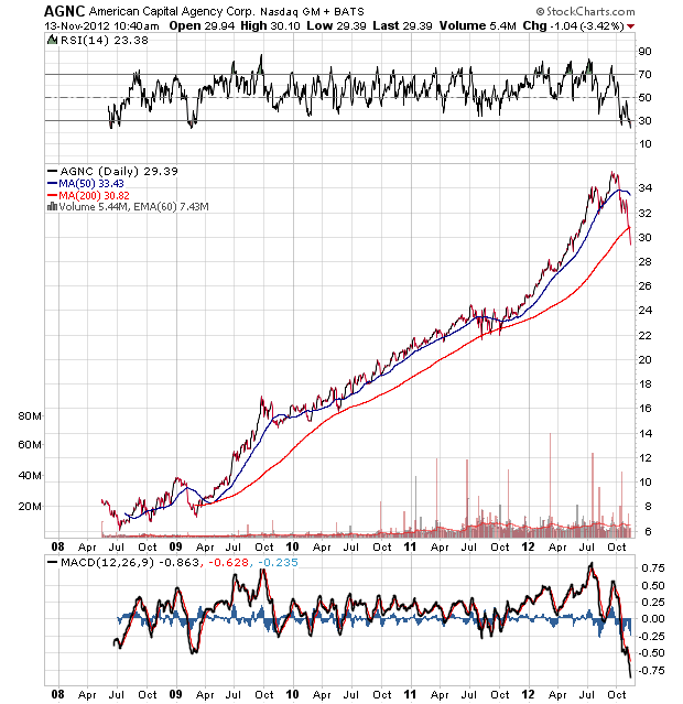 Der USA Bären-Thread 552949