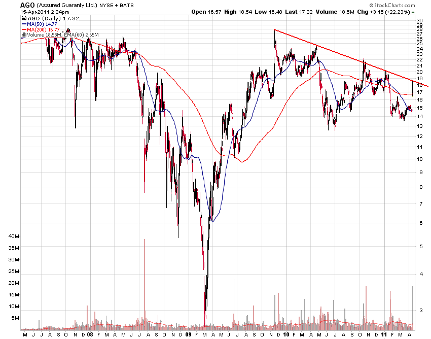 Bear Zocks - daily 396172