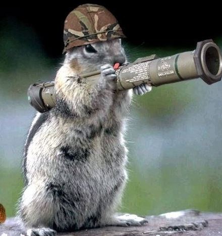 Netcents Technology Thread moderiert A2AFTK 1084595