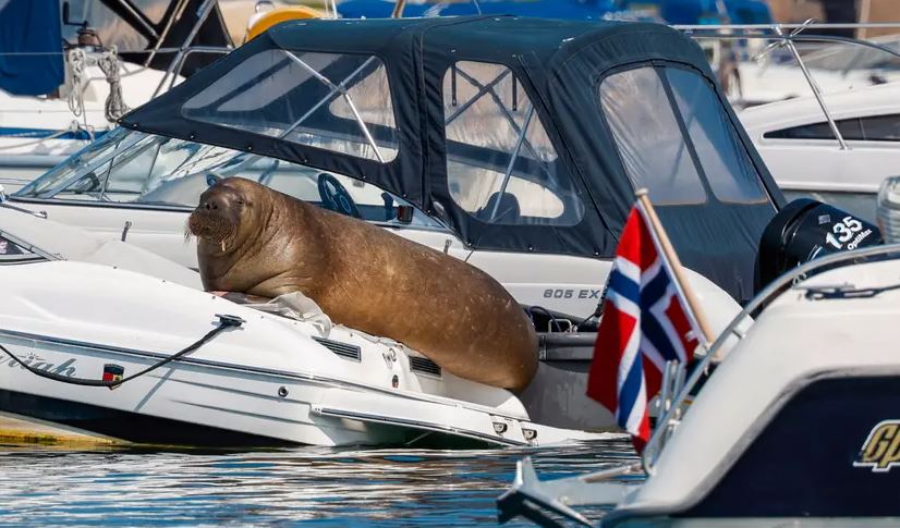 AKER Horizons AS 1325537