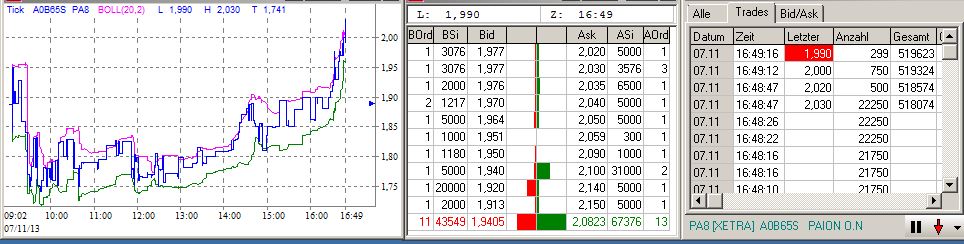 PAION Eine Fledermaus lernt wieder fliegen 661908