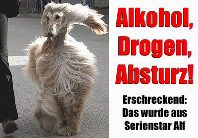 Drillisch: 555 % Anstieg sind locker möglich! 552681