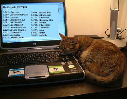 1.623.DAX Tipp-Spiel, Freitag, 26.08.2011 433022