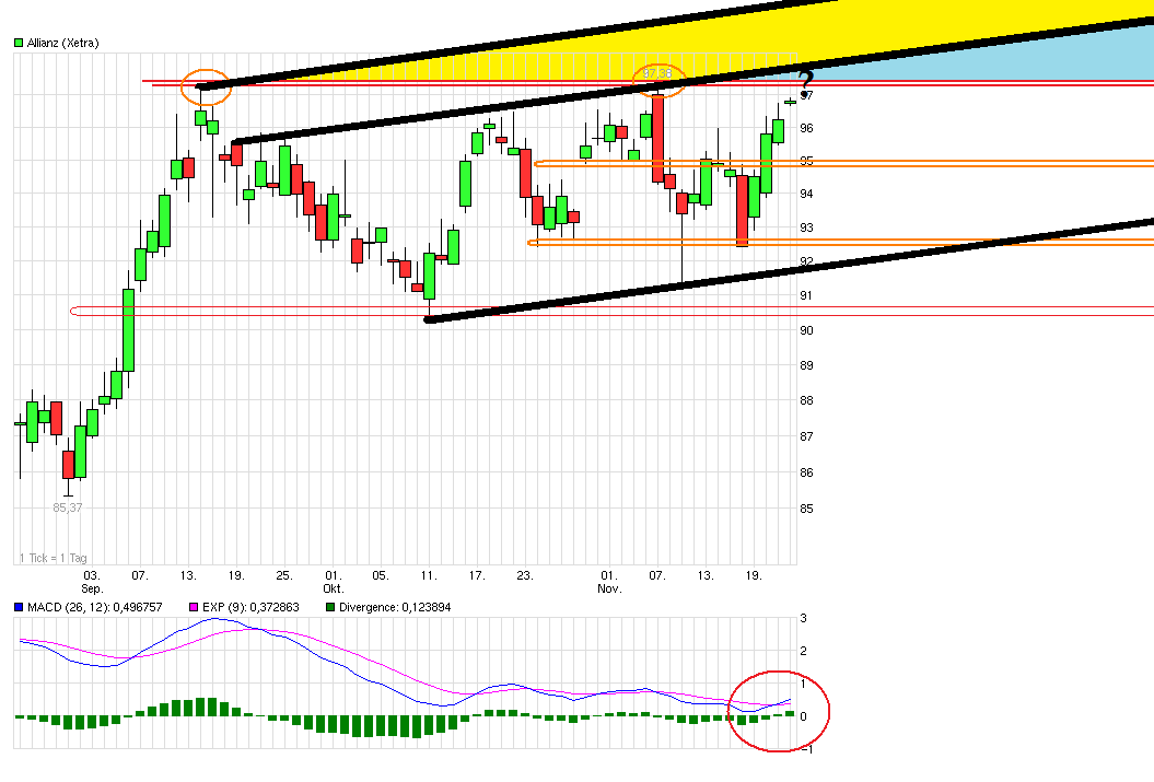 Inside: Allianz AG 555545