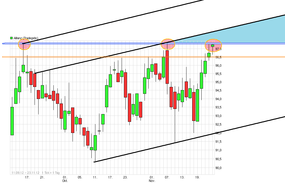 Inside: Allianz AG 555965