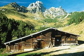 Thompson Creek Metals (Blue Pearl Mng) 101512