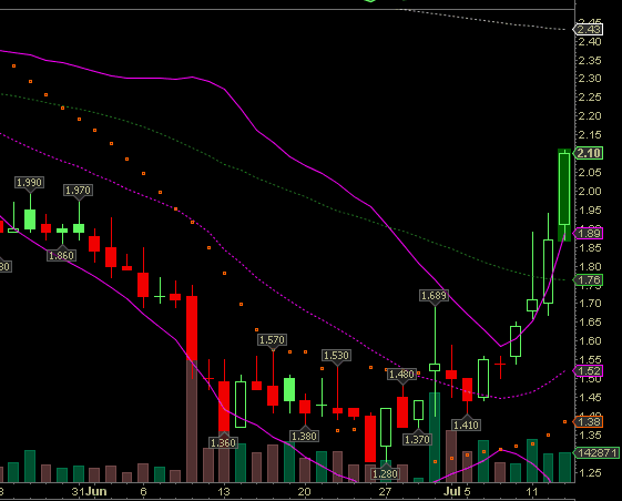 Wesleys Flugschule - US Auslese 420370