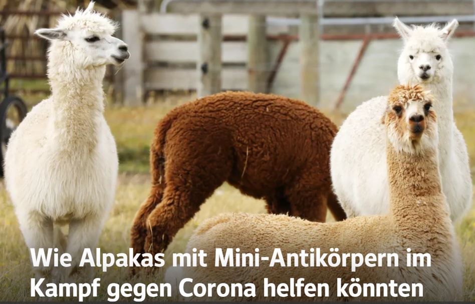 Börse ein Haifischbecken: Trade was du siehst 1267757